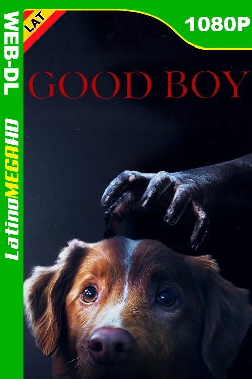 Good Boy: Confía en su instinto (2025) Latino 1080P WEB-DL